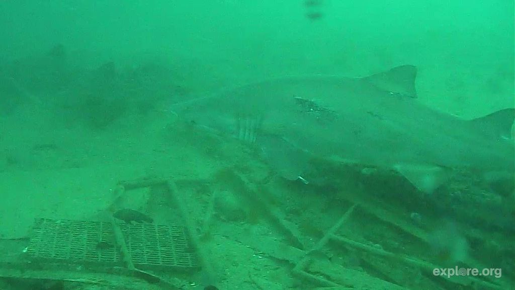 74fdd2f3-a501-4b11-bd2b-ac54148c9196