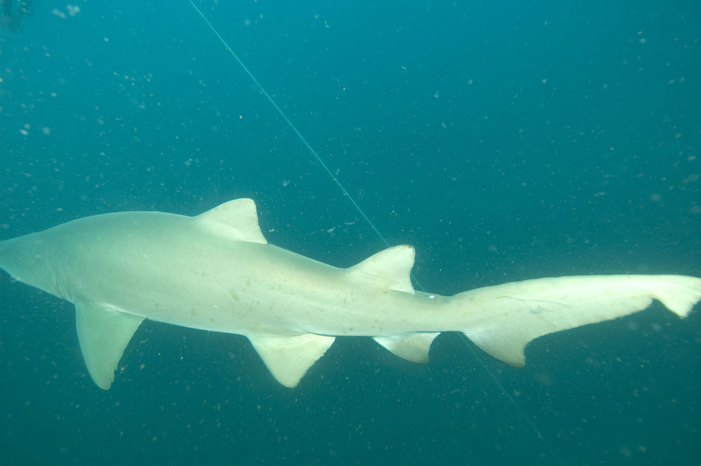 550241b2-ccea-4620-8266-34ee7a7deecc