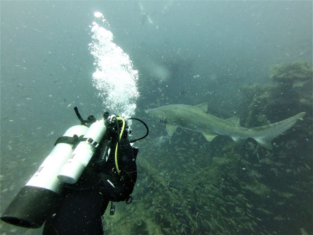 12cd0f57-2543-442c-ae58-a0b4f9e1ddfe