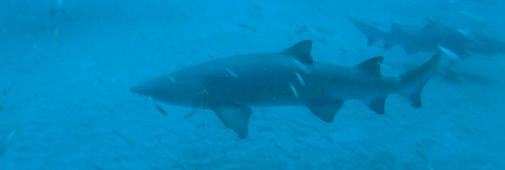 8e72ebdb-10b5-4c67-8e34-6ef4e49592cb