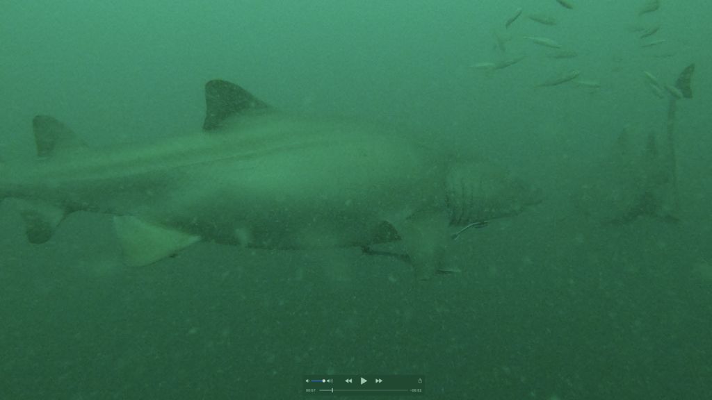 204acab2-8309-4d94-8ec1-f07c958cfdf2