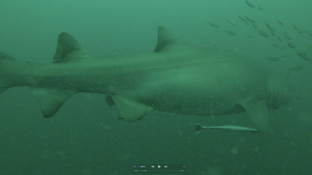 204acab2-8309-4d94-8ec1-f07c958cfdf2