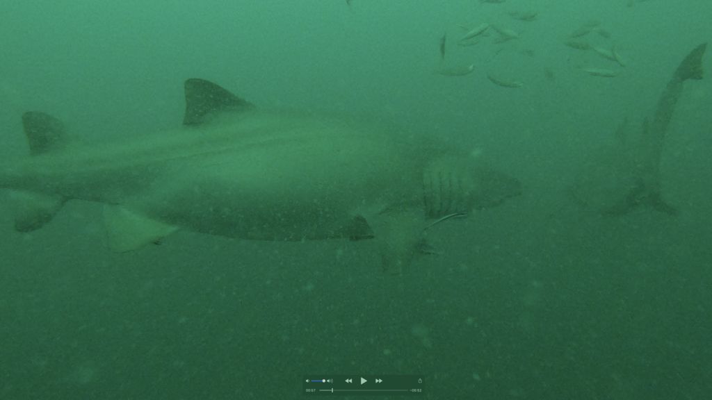 204acab2-8309-4d94-8ec1-f07c958cfdf2