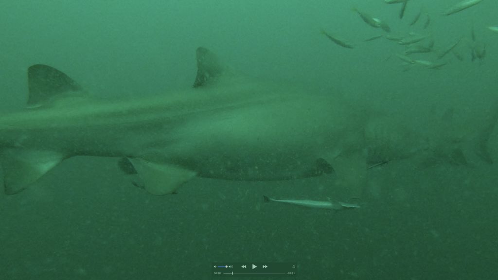 204acab2-8309-4d94-8ec1-f07c958cfdf2