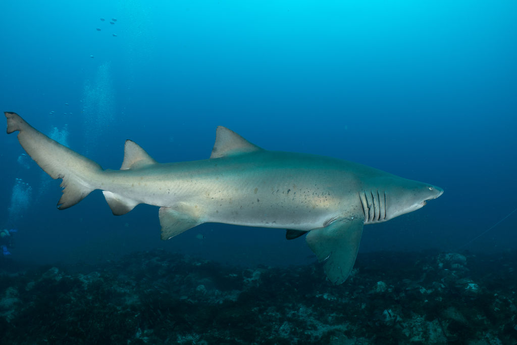 6a8d3024-6fe2-40fd-8e88-f139986f7031