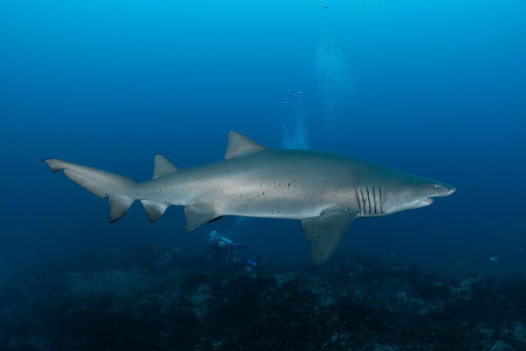 6a8d3024-6fe2-40fd-8e88-f139986f7031