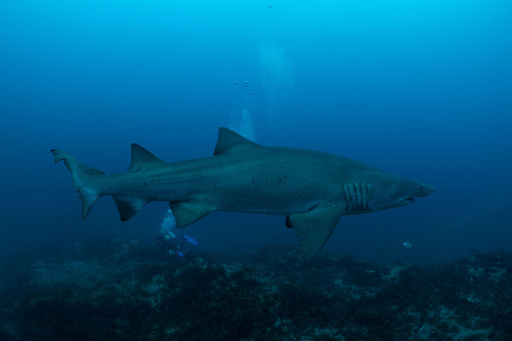 6a8d3024-6fe2-40fd-8e88-f139986f7031