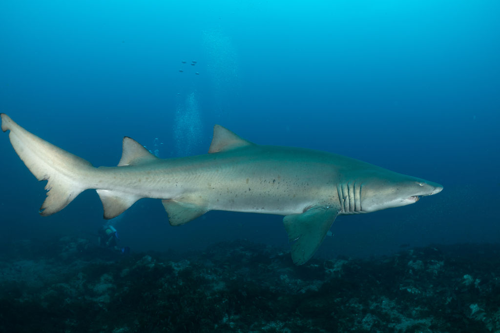 6a8d3024-6fe2-40fd-8e88-f139986f7031