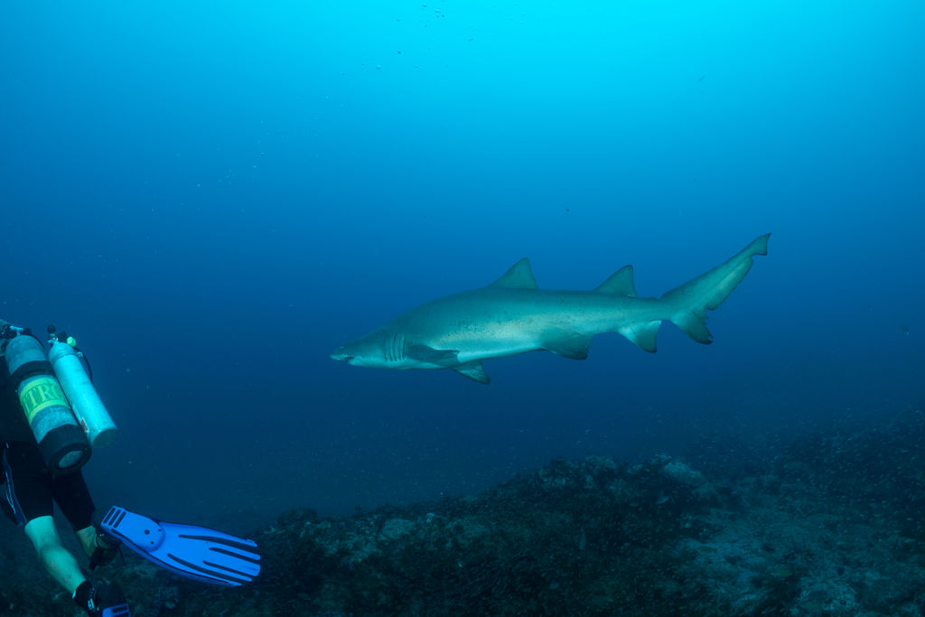 6a8d3024-6fe2-40fd-8e88-f139986f7031