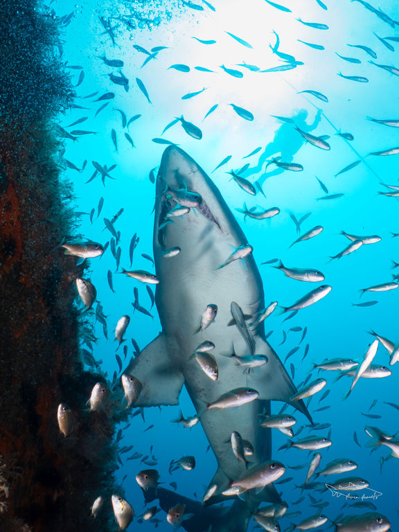 de6374bf-bef1-4cb5-b333-23bd9a189edf