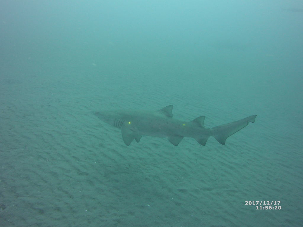 7f576108-d5fd-4227-a093-e9f64d922cdf