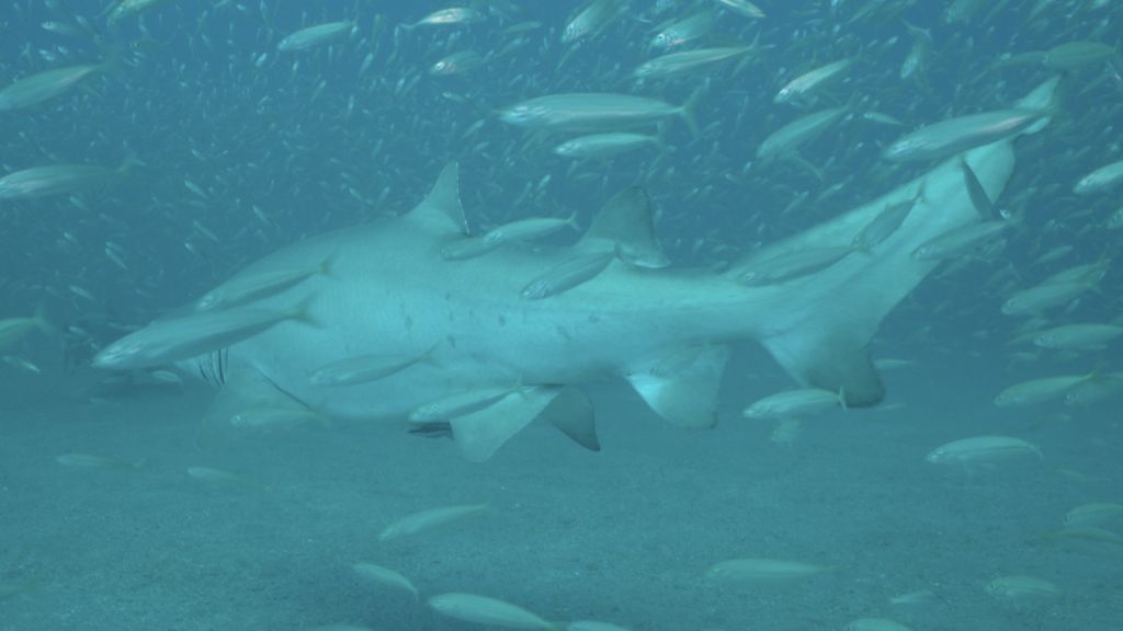 b79c415b-3904-47d3-a129-5565031df44a