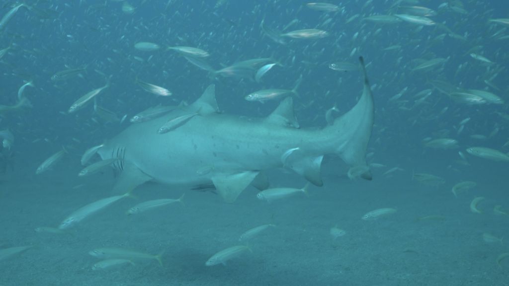 b79c415b-3904-47d3-a129-5565031df44a