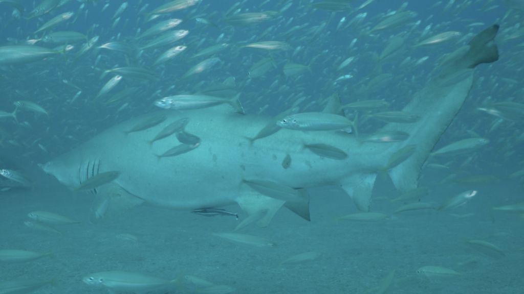 b79c415b-3904-47d3-a129-5565031df44a