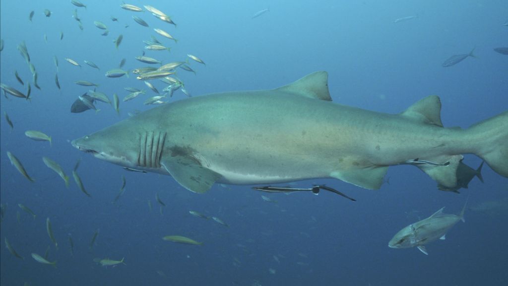 b5b44c2d-b3aa-4423-8271-3e9d8d2dff29