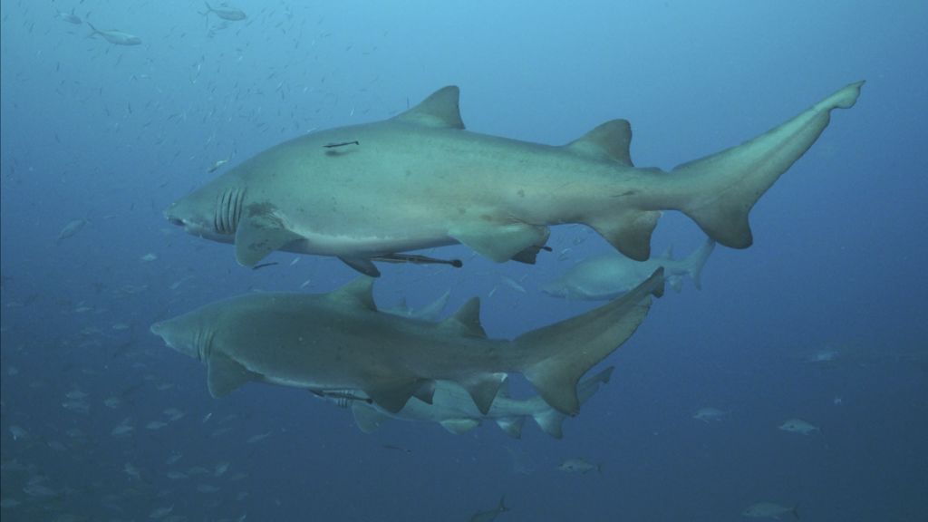 b5b44c2d-b3aa-4423-8271-3e9d8d2dff29