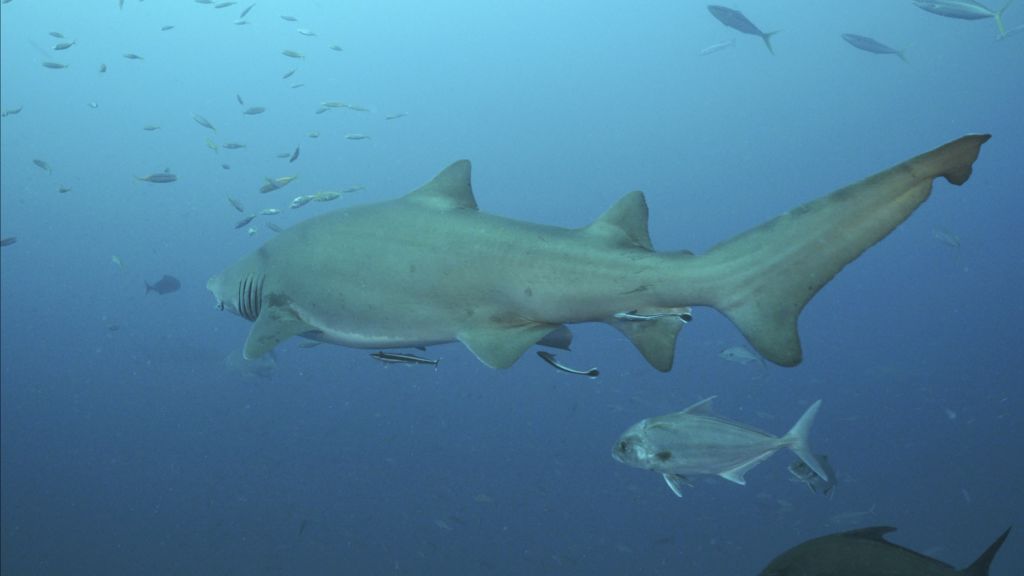 b5b44c2d-b3aa-4423-8271-3e9d8d2dff29