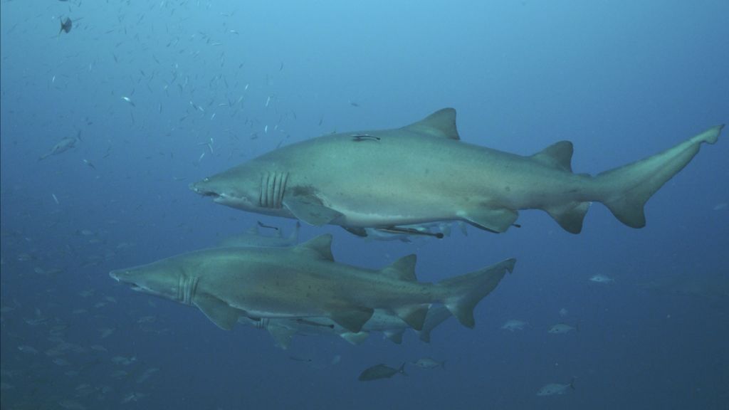 b5b44c2d-b3aa-4423-8271-3e9d8d2dff29