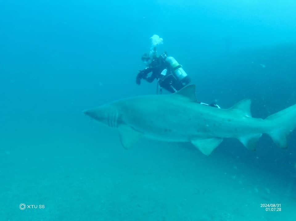 4d2f744b-3724-408d-ba87-c427339cd41e