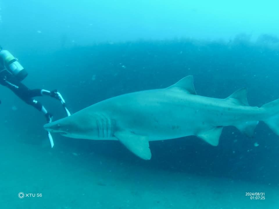 4d2f744b-3724-408d-ba87-c427339cd41e