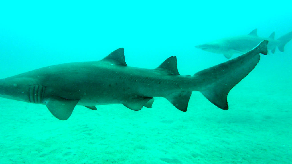 3d7320fe-421f-4830-a36d-d43302d2c36d