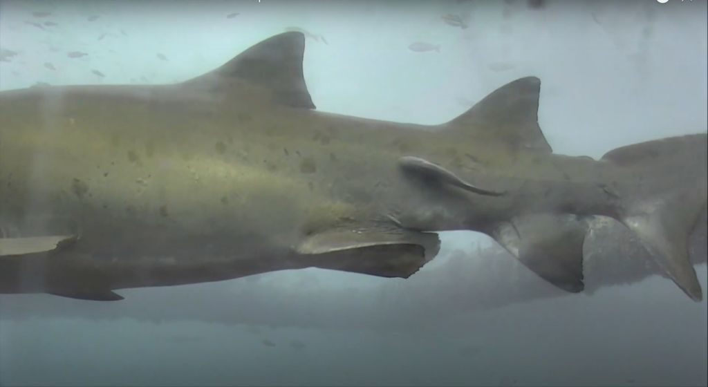 92f897fd-2159-4ef1-a418-1c2ccdb1f28c