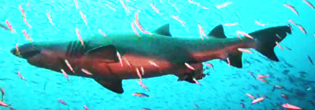 57fa701f-96bf-402a-8987-30023c52e7b9