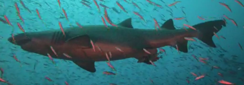 57fa701f-96bf-402a-8987-30023c52e7b9