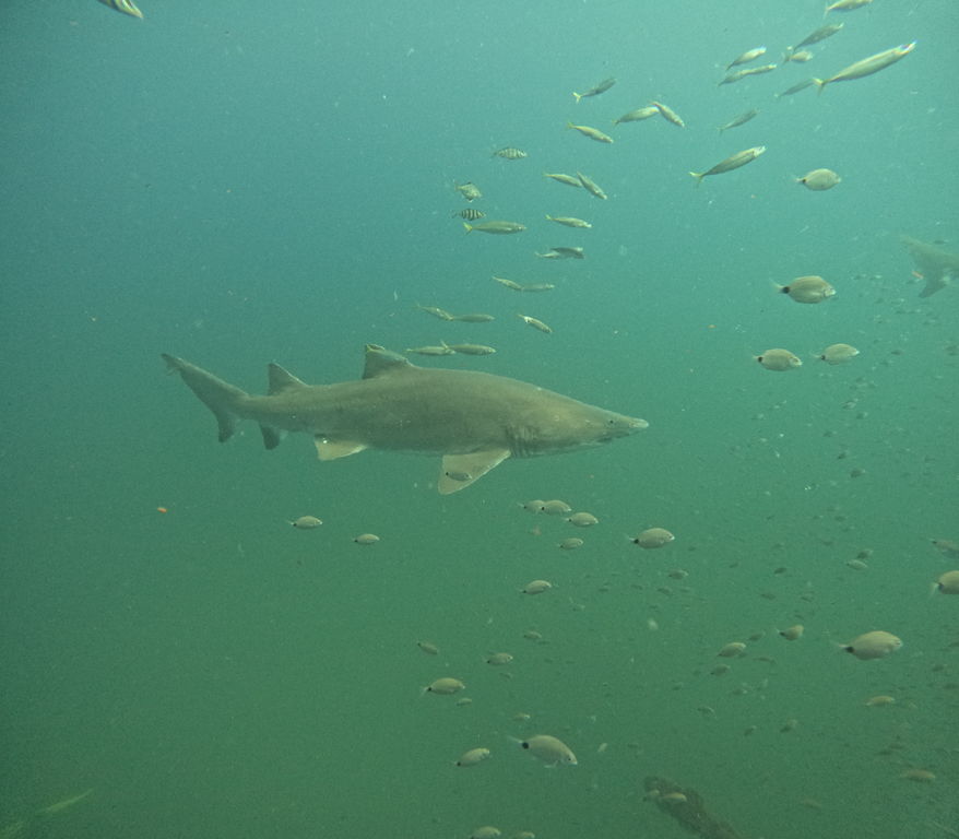 c7d95002-44ba-461c-bda0-75b393ff49d2