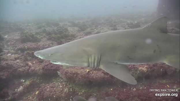 4115291b-3551-4d51-b70c-1290136c3cd6