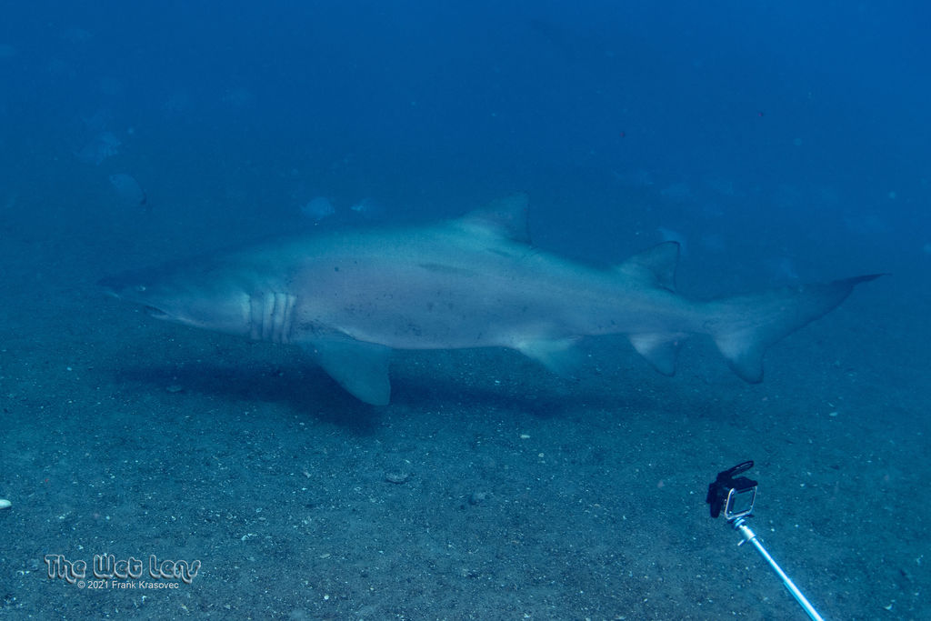 80287367-2ca5-4281-8413-84bb96cc05fb