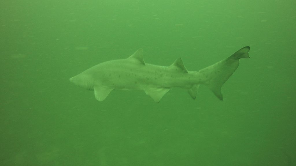 322bd3af-d1b4-4695-9f9e-e4d5b8e41168