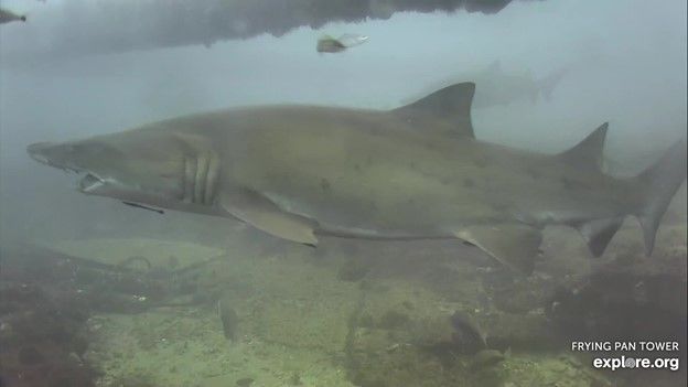 92f897fd-2159-4ef1-a418-1c2ccdb1f28c