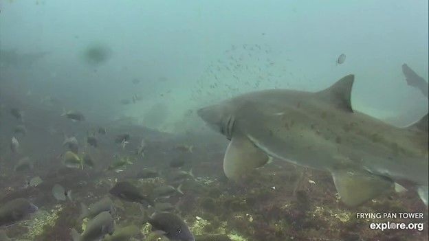 92f897fd-2159-4ef1-a418-1c2ccdb1f28c