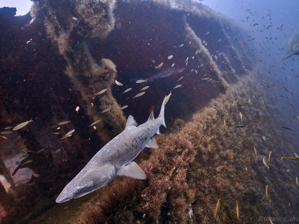 a299b113-0245-4ef9-9360-2bba7d01ca66