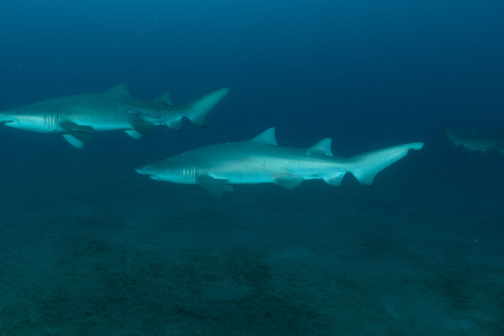 34b332d0-b2ca-4dc5-ab08-63084026d5f1