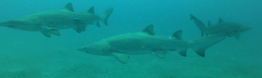 34b332d0-b2ca-4dc5-ab08-63084026d5f1