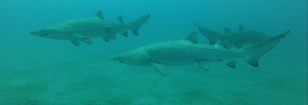 34b332d0-b2ca-4dc5-ab08-63084026d5f1