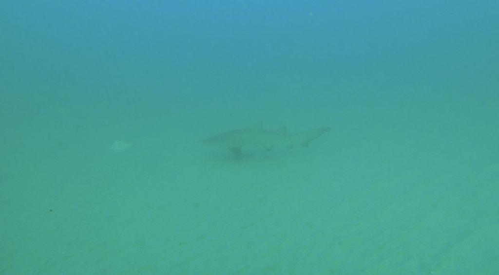 7da46cf9-f5c1-44b6-a8a6-ea1a3443d863