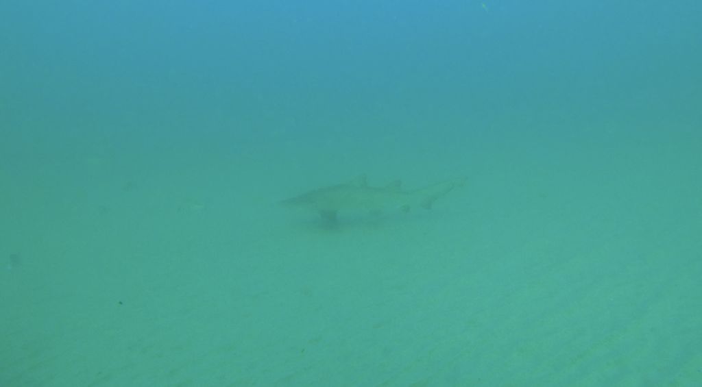 7da46cf9-f5c1-44b6-a8a6-ea1a3443d863