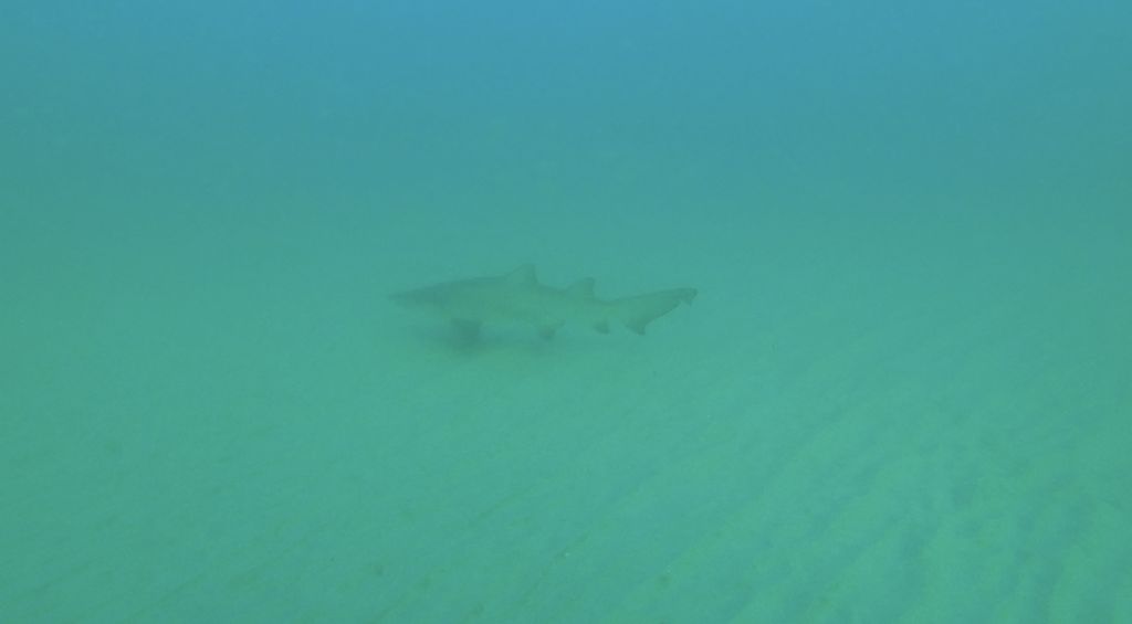 7da46cf9-f5c1-44b6-a8a6-ea1a3443d863