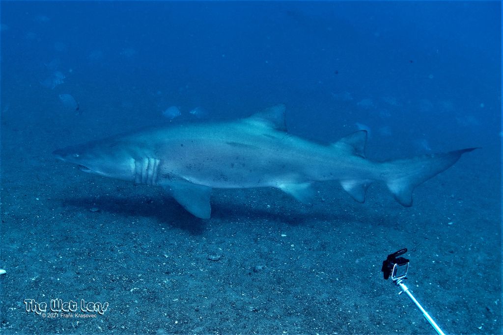 80287367-2ca5-4281-8413-84bb96cc05fb