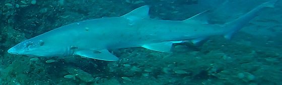 ea80cf0e-da3a-43c6-ab7e-a164ac731513