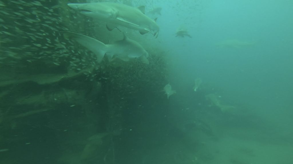 0f6763d0-8a6f-417b-a93d-58d0e7c76257