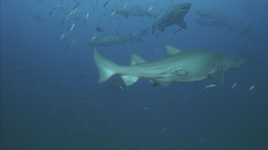 fb9e9dc5-c90b-43e8-bc45-7416bafe6aea