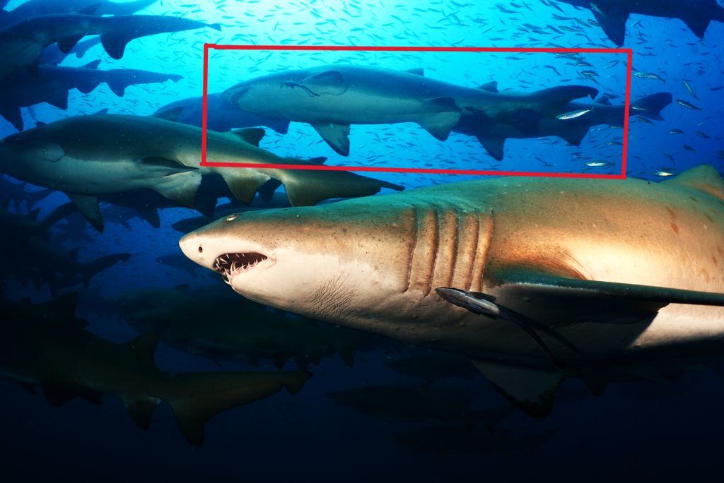 23d05618-bb09-4138-89e6-df5aa6d47fc0