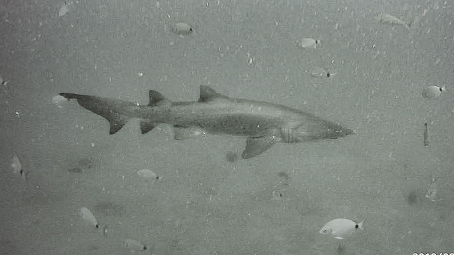 6c62525e-94db-492f-af3a-c84af2649537