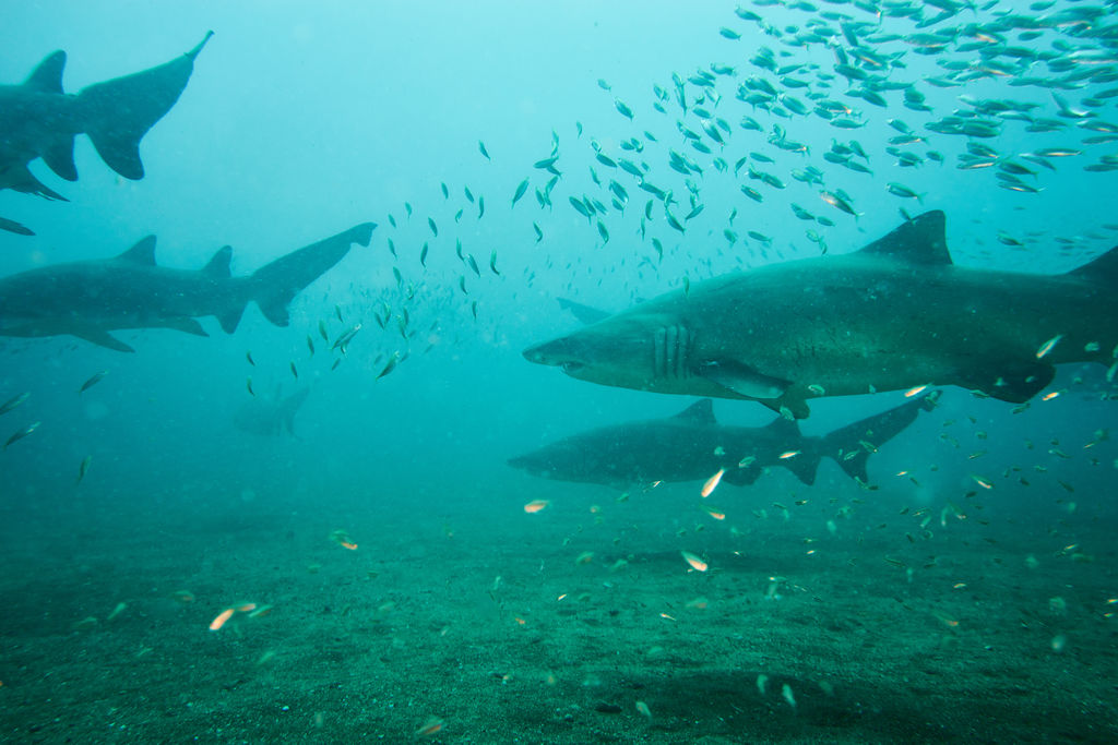 459ce1da-8c49-4e52-b747-6230ab032f2d