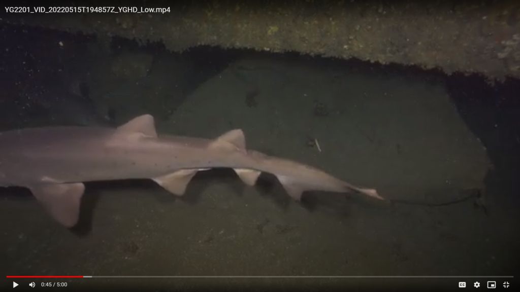 0142d88e-f710-42de-bc9a-f940bfe44f52