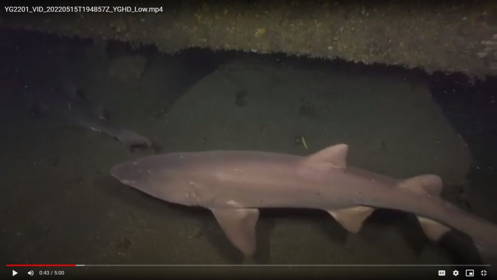 0142d88e-f710-42de-bc9a-f940bfe44f52